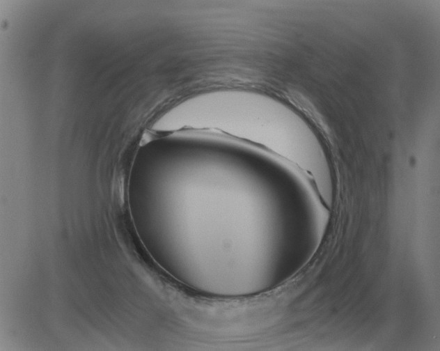 X0000084030021200703022134