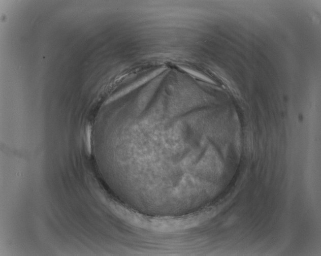 X0000084030022200703022134