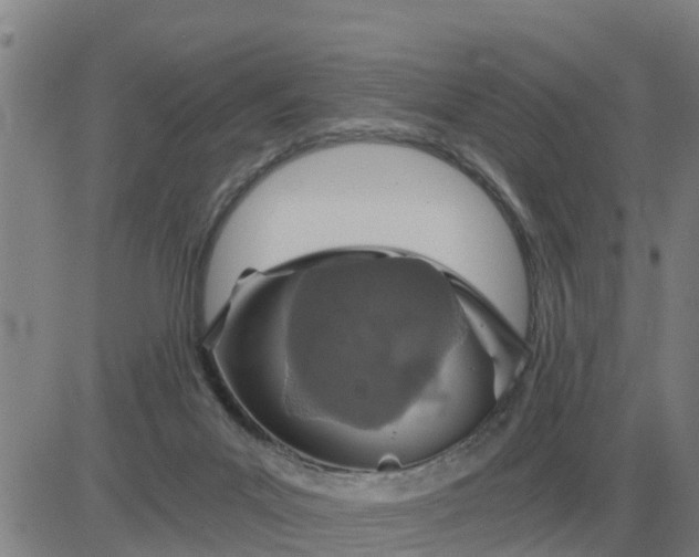 X0000084030023200703022134