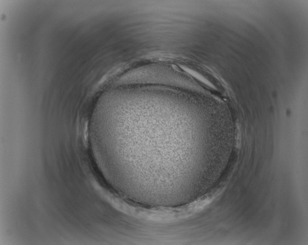 X0000084030024200703022134