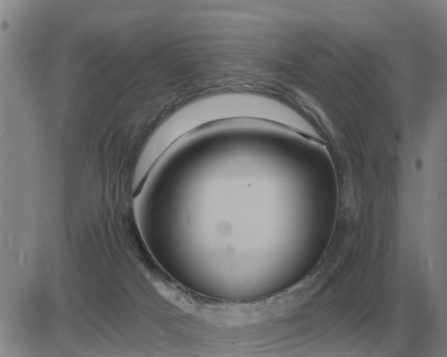 X0000084030025200703022134