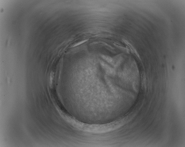 X0000084030026200703022134