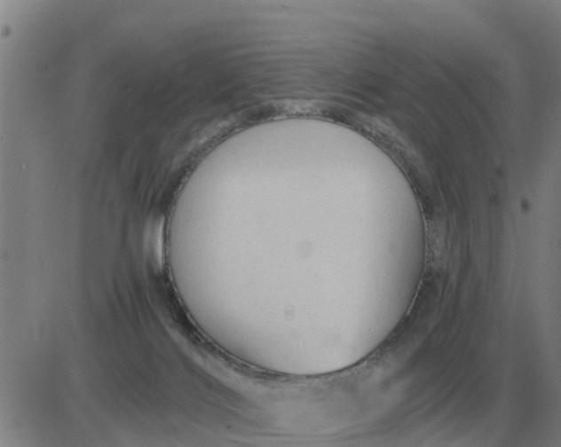 X0000084030028200703022134