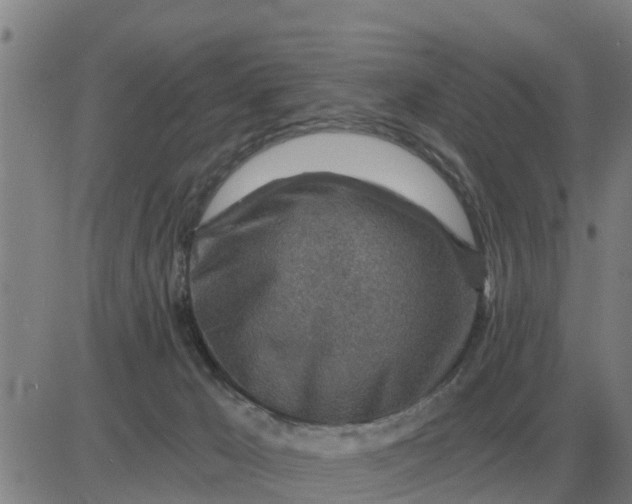 X0000084030029200703022134