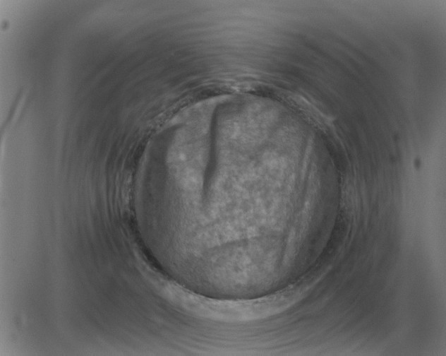 X0000084030030200703022134