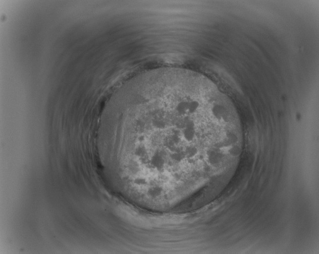 X0000084030032200703022134