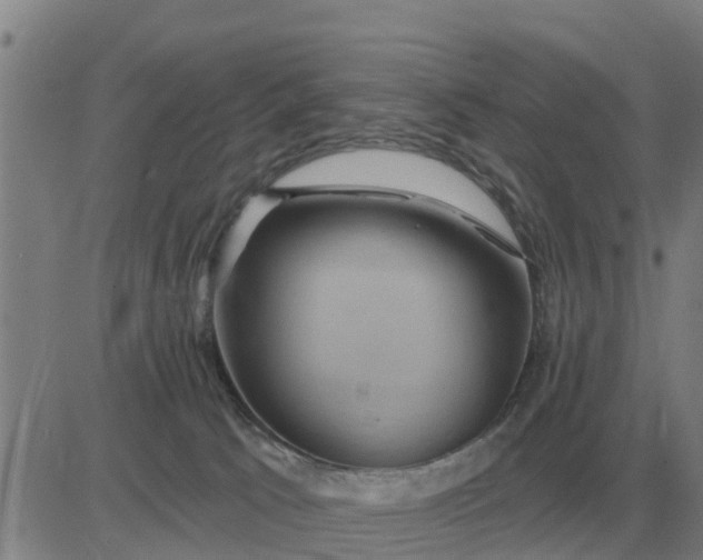 X0000084030033200703022134