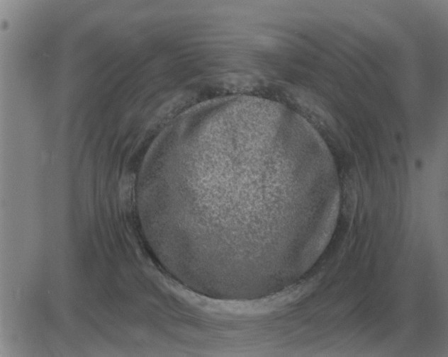 X0000084030034200703022134