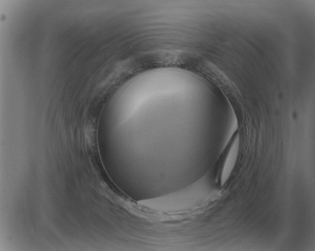 X0000084030035200703022134