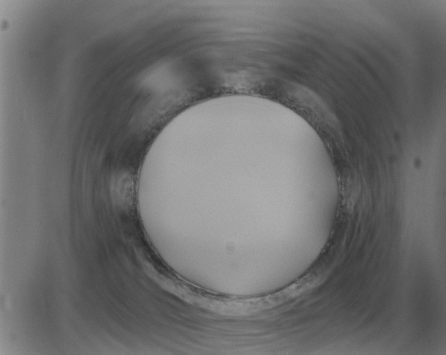 X0000084030036200703022134