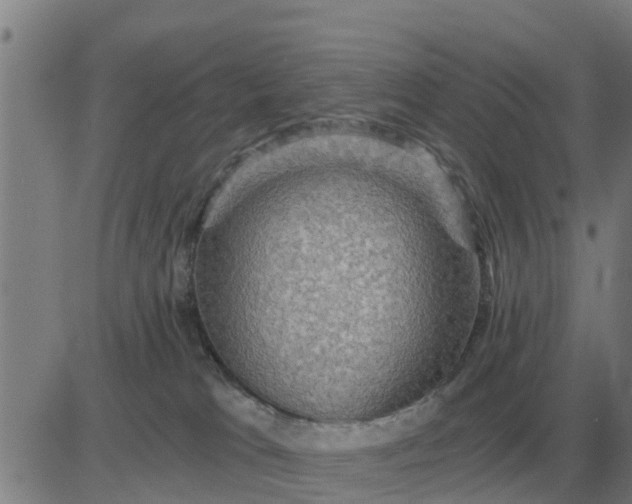 X0000084030037200703022134