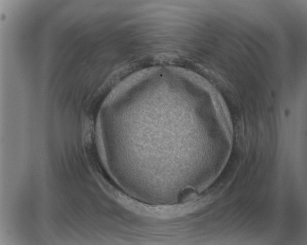 X0000084030038200703022134