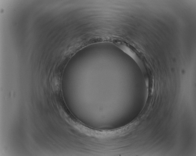 X0000084030039200703022134