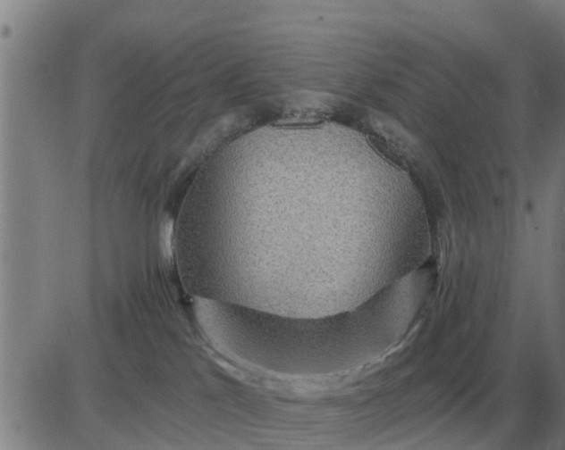 X0000084030041200703022134