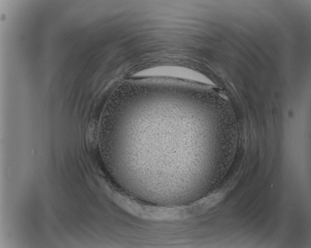 X0000084030044200703022134