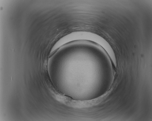 X0000084030045200703022134