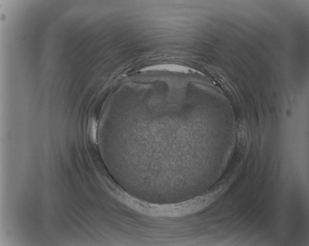 X0000084030046200703022134