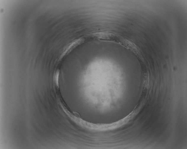 X0000084030047200703022134