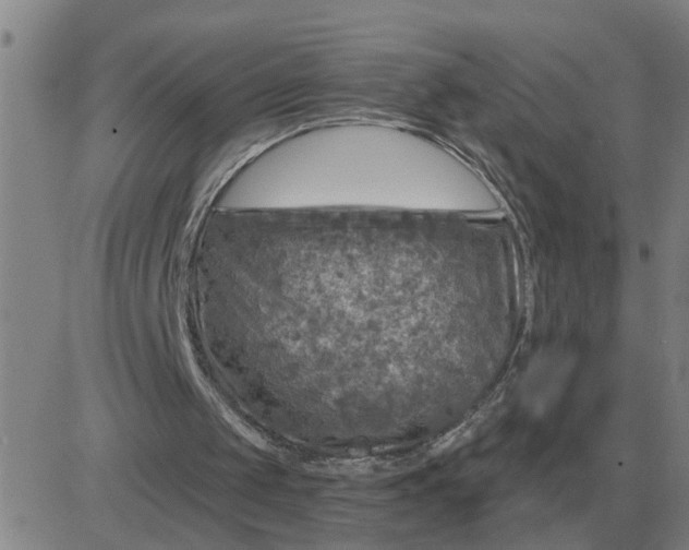 X0000084030049200703022133