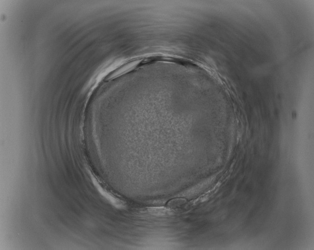 X0000084030050200703022133