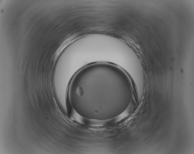 X0000084030051200703022133