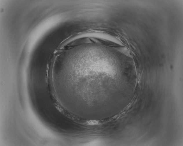 X0000084030052200703022133