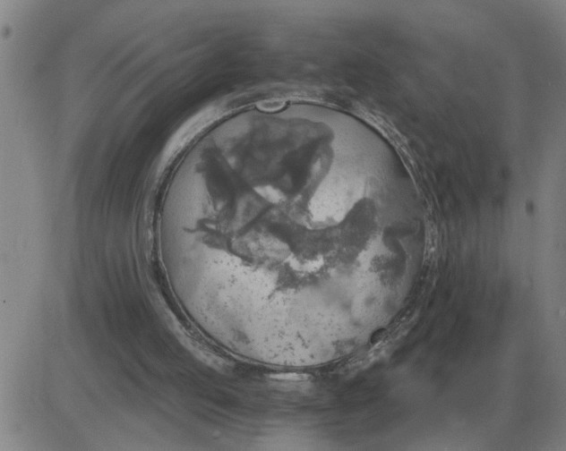 X0000084030053200703022133