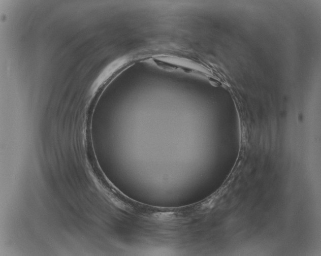 X0000084030054200703022133