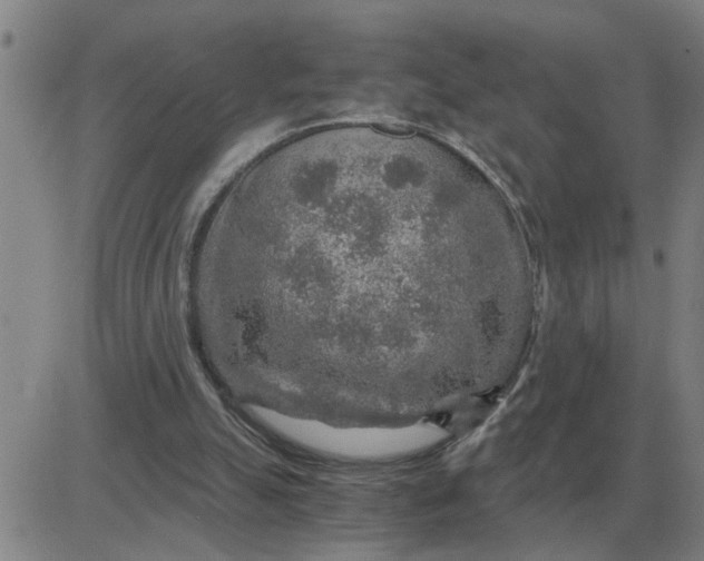 X0000084030055200703022133