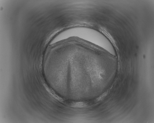 X0000084030058200703022133