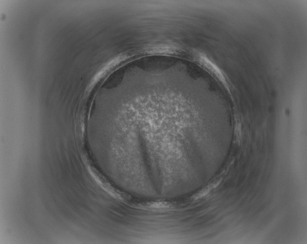 X0000084030059200703022133