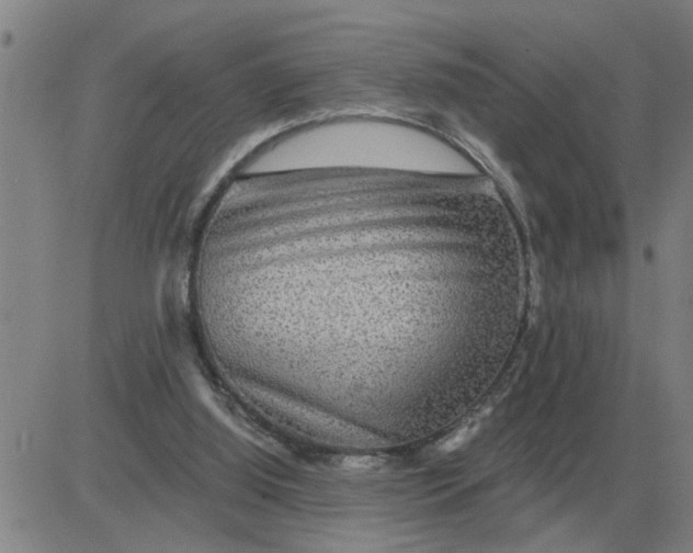 X0000084030060200703022133