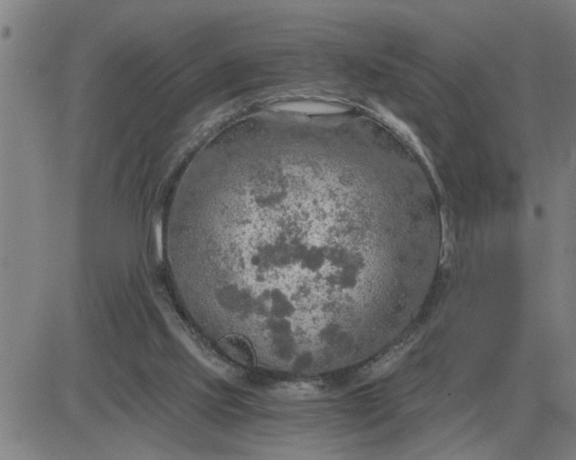 X0000084030061200703022133