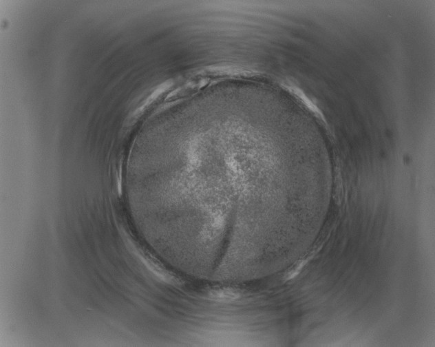 X0000084030062200703022133