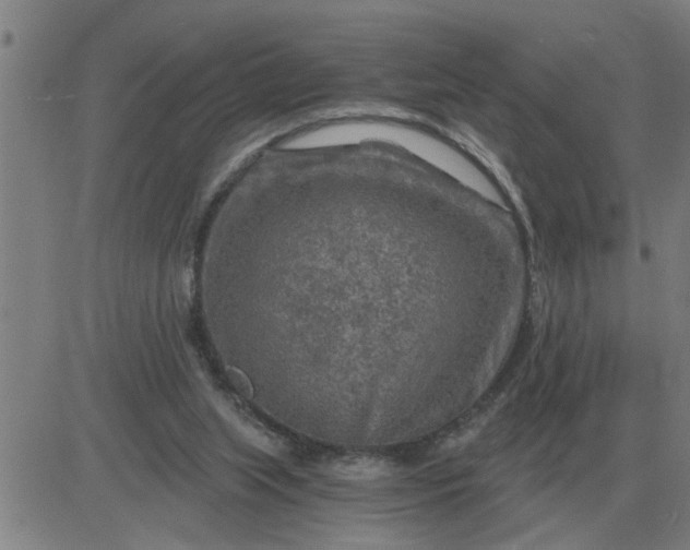 X0000084030063200703022133