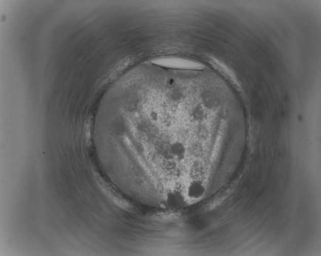 X0000084030065200703022133