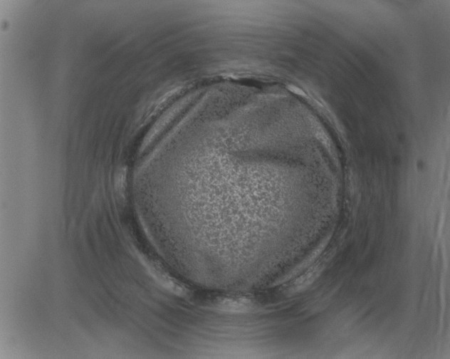 X0000084030066200703022133