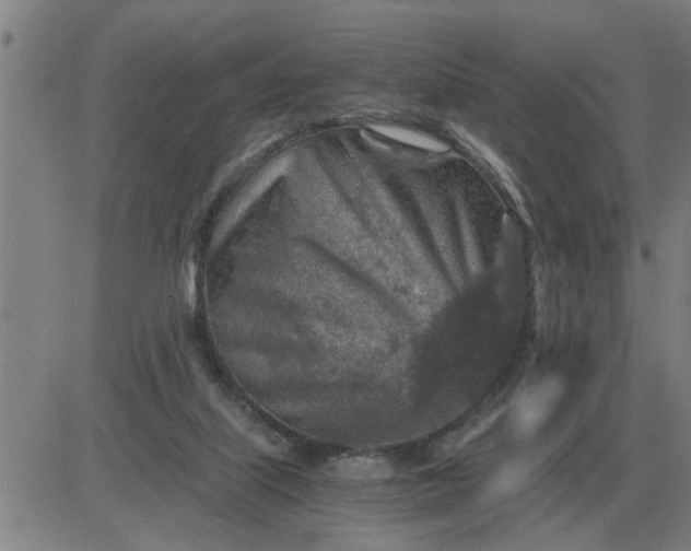 X0000084030067200703022133