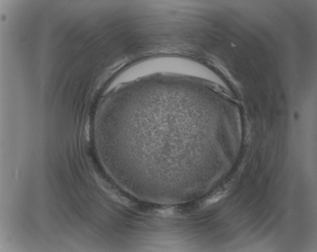 X0000084030068200703022133