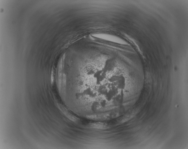 X0000084030069200703022133