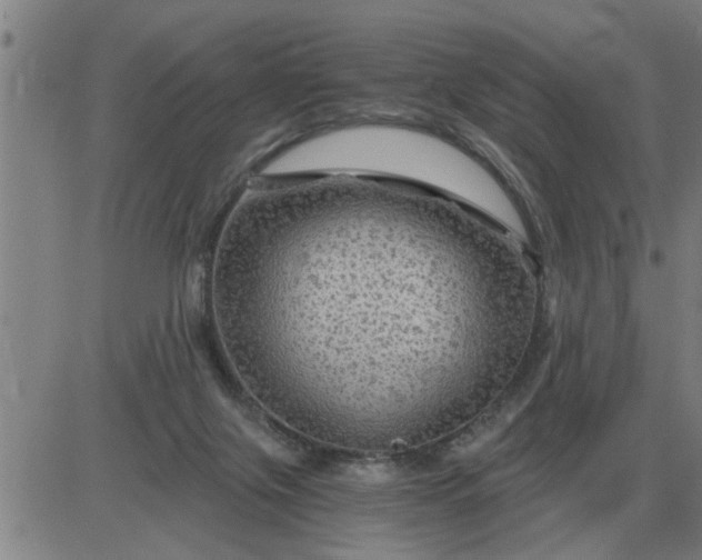 X0000084030071200703022133