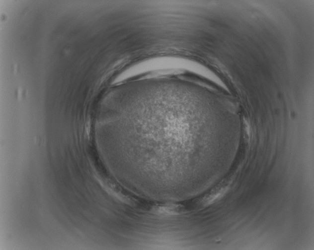 X0000084030072200703022133