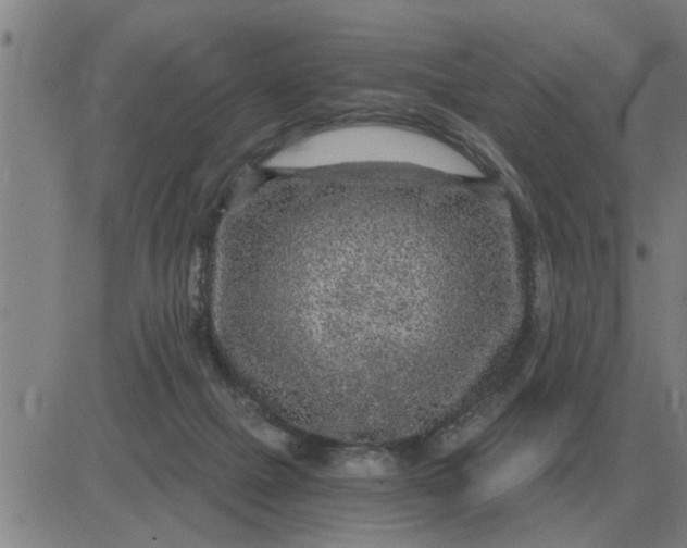 X0000084030073200703022133