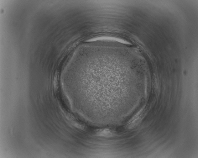 X0000084030074200703022133