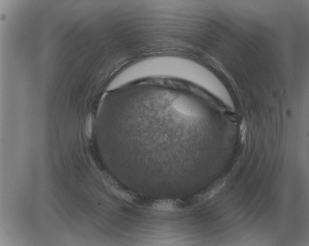 X0000084030076200703022133