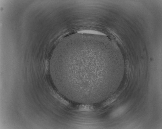 X0000084030077200703022133