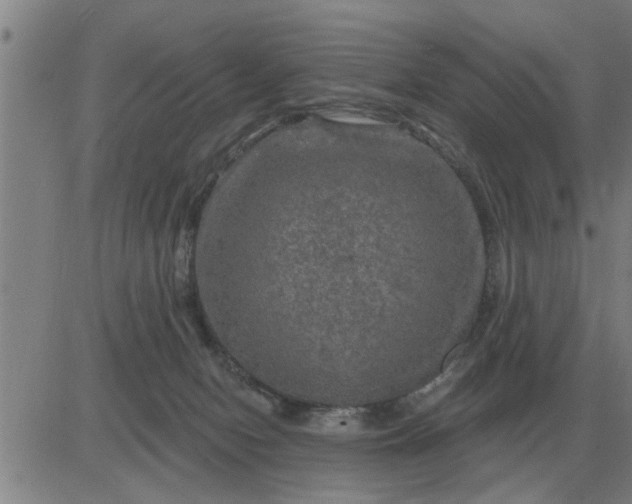 X0000084030078200703022133