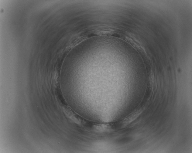 X0000084030079200703022133