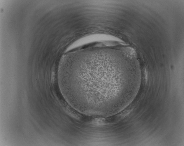 X0000084030080200703022133