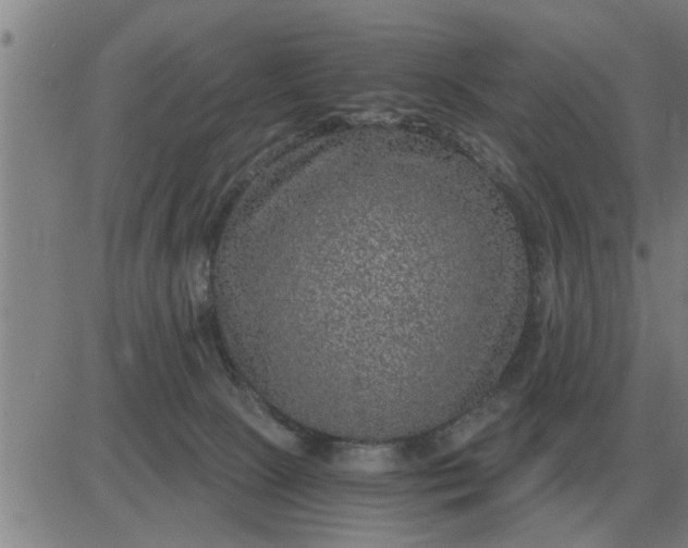 X0000084030081200703022133